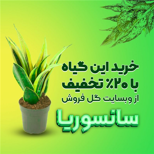 تخفیف ویژه ی روز طبیعت  